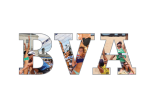 bva_village